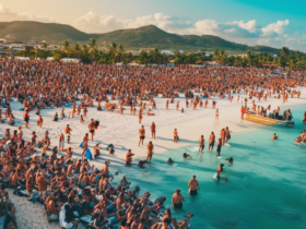 assistez à un concert estival inoubliable sur une plage paradisiaque. réservez votre place dès maintenant pour vivre une expérience musicale unique en plein air.