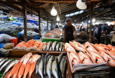 découvrez le secret insoupçonné du marché aux poissons pittoresque : une révélation incroyable !