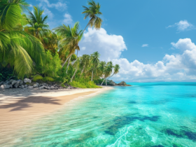 découvrez une escale exotique paradisiaque que vous n'auriez jamais imaginée avec notre destination exclusive.