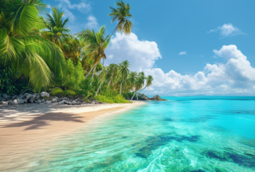 découvrez une escale exotique paradisiaque que vous n'auriez jamais imaginée avec notre destination exclusive.